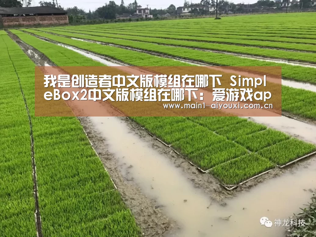 爱游戏官方